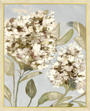 Load image into Gallery viewer, HYDRANGEA HARMONY 1