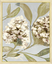 Load image into Gallery viewer, HYDRANGEA HARMONY 2