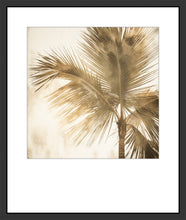 Load image into Gallery viewer, VENICE VIBE 4