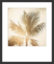 Load image into Gallery viewer, VENICE VIBE 1