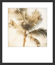 Load image into Gallery viewer, VENICE VIBE 2