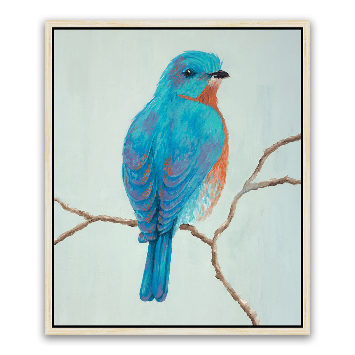 BELLISSIMO UCCELLO 3