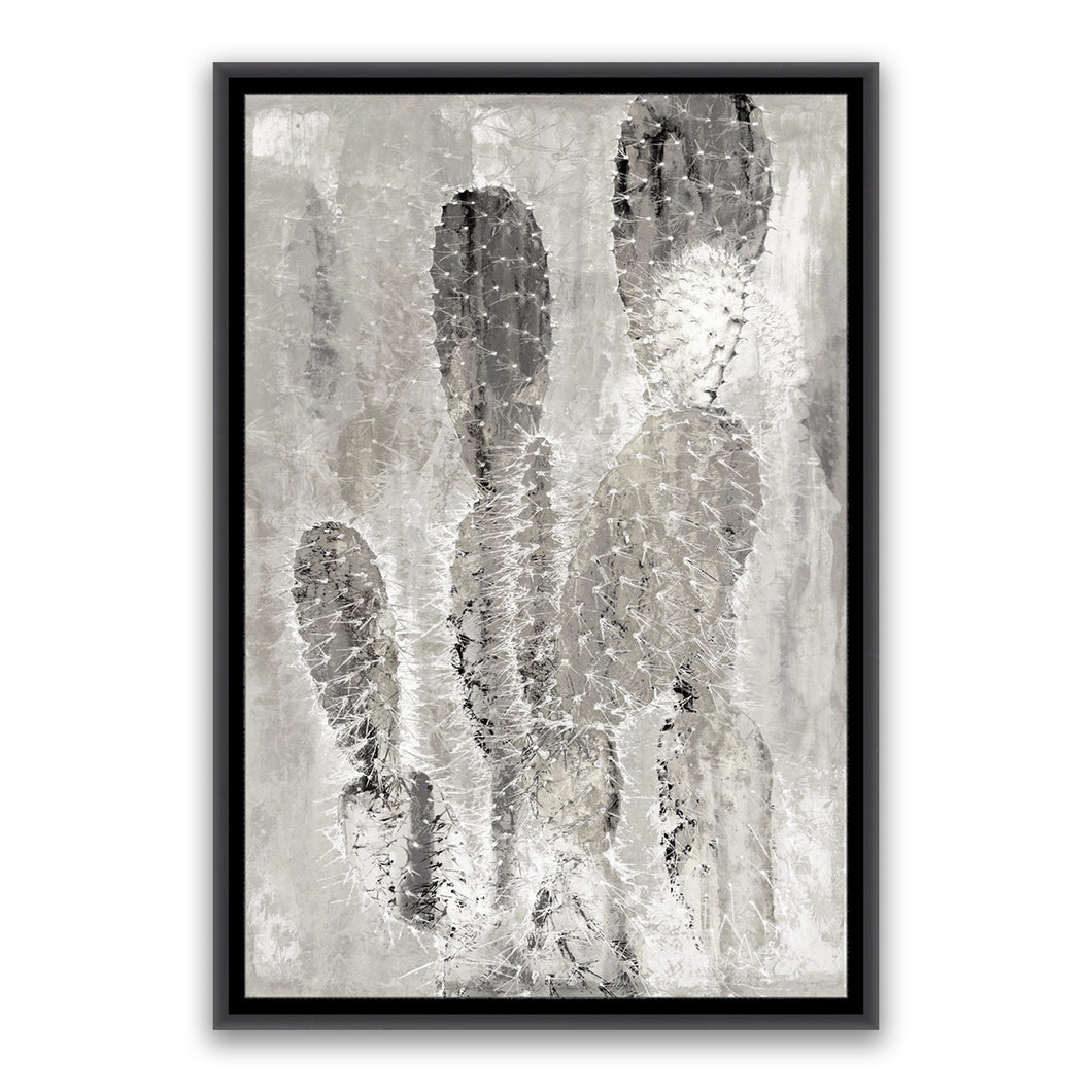 BLACK SAND CACTI 2