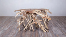 Load image into Gallery viewer, Root Art Console Table