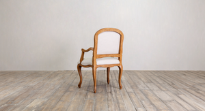 Salon Occasional Arm Chair